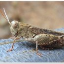 서울바른재활의학과의원 | 혹시 내 이야긴가? 목디스크, 동작에스엔재활의학과의원 가서 상담받아봤어요!