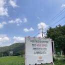 이리오너라 | 엄마랑 데이트를 하러 다녀온 여주한옥카페 ‘이리오너라 빵카페‘ 후기