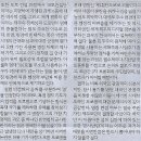 오피니언라이브
