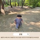 중부종합관리 | 물향기수목원 절반도 못 봤는데 3시간이 지나있더라고요