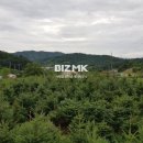 가평탑공인중개사사무소 이미지