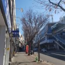 지산역 | 지산역 바로 앞! 사후 처리 잘 되는 대구수성구보청기 굿모닝보청기 대구 수성센터 방문 후기!