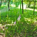 송정환경 이미지