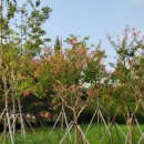 쌍암동산 이미지