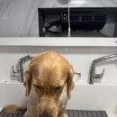 멍즈니랜드 이미지