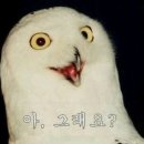 갯벌의진주 - 송파구 송파대로30길 41 | 갯벌의진주