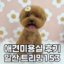 트리밍153 이미지