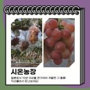 시온농장 이미지