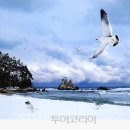 동해중기
