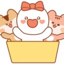 (주)프레제니우스메디칼케어코리아 이미지