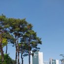롯데백화점~주공1,2단지 | &#34;철산주공13단지아파트 나름 임장 후기&#34;