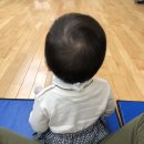 [세유니 육아일기 D+323-351] 11개월 아기 일상, 호박나무 스튜디오 돌촬영, 첫 문센수업, 이발, 돌잔치...