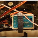 살랑더테일 이미지