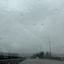 천가네볼태기 이미지