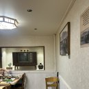 견들의 밥상 이미지