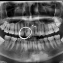 라페치과의원 이미지