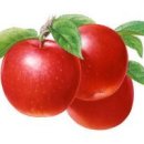 동백장모텔 이미지