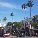 할리우드 이미지