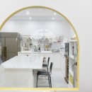 테일러퍼피 이미지