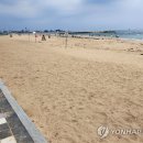 속초해수욕장 이미지