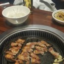 고기야고기야