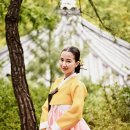 한제인 카카오 검색결과