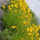 신입 어린이용 새 선물 준비/지정스님 위증 사건 정식 재판 회부 (5/25.법회장 현안 보고) 이미지