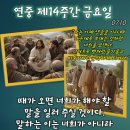 2026-07-10연중 제14주간 금요일＜말하는 이는 너희가 아니라 너희 아버지의 영이시다.＞ 이미지