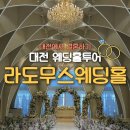 11650-7-27-8 | 대전 라도무스 웨딩홀 식대 투어 27년 상반기 견적 안내, 상담 예약투어 후기