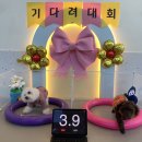 놀러오개 애견유치원 애견호텔 풍동식사점 | ✨놀러오개 풍동식사점 - 강쥐 유치원 후기 및 가격✨