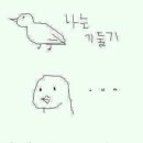 루나피에나