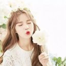 모노레시피