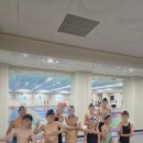 하비엘럭스 수영장 | 하비엘럭스 제 3회 안산시장배 마스터즈 핀수영대회 출전 후기