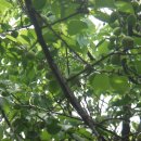 유성농장 이미지