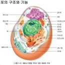 온열관리