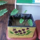 보현약국 이미지