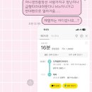 스테이외포 이미지