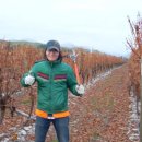 홍석주농장 이미지