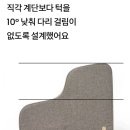 보호리카 이미지