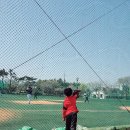 을숙도 리틀야구장 이미지