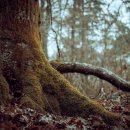 누구나 쉽게 유튜버 되기 | 2026년 초보 유튜버 가성비 무선 마이크 TOP3