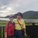 하동 섬진강변길 이미지