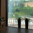숨COFFEE&FLOWER | 부산 카페 대관 가능한 연산동 카페 꽃그리고 이야기