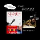 다시 읽는 [사피엔스] 🏃🏻🚶🏻🧍🏻| [14] 무지의 발견