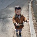 코뿔소 음식점 이미지