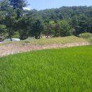 풍산태사로(서) 이미지