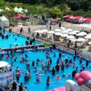 송도해변축제 이미지