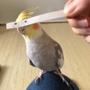풋풋하게 살아가기