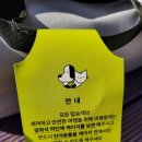 두레빌레 | 떠나요 넷이서
