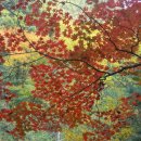 동해바다 2 이미지